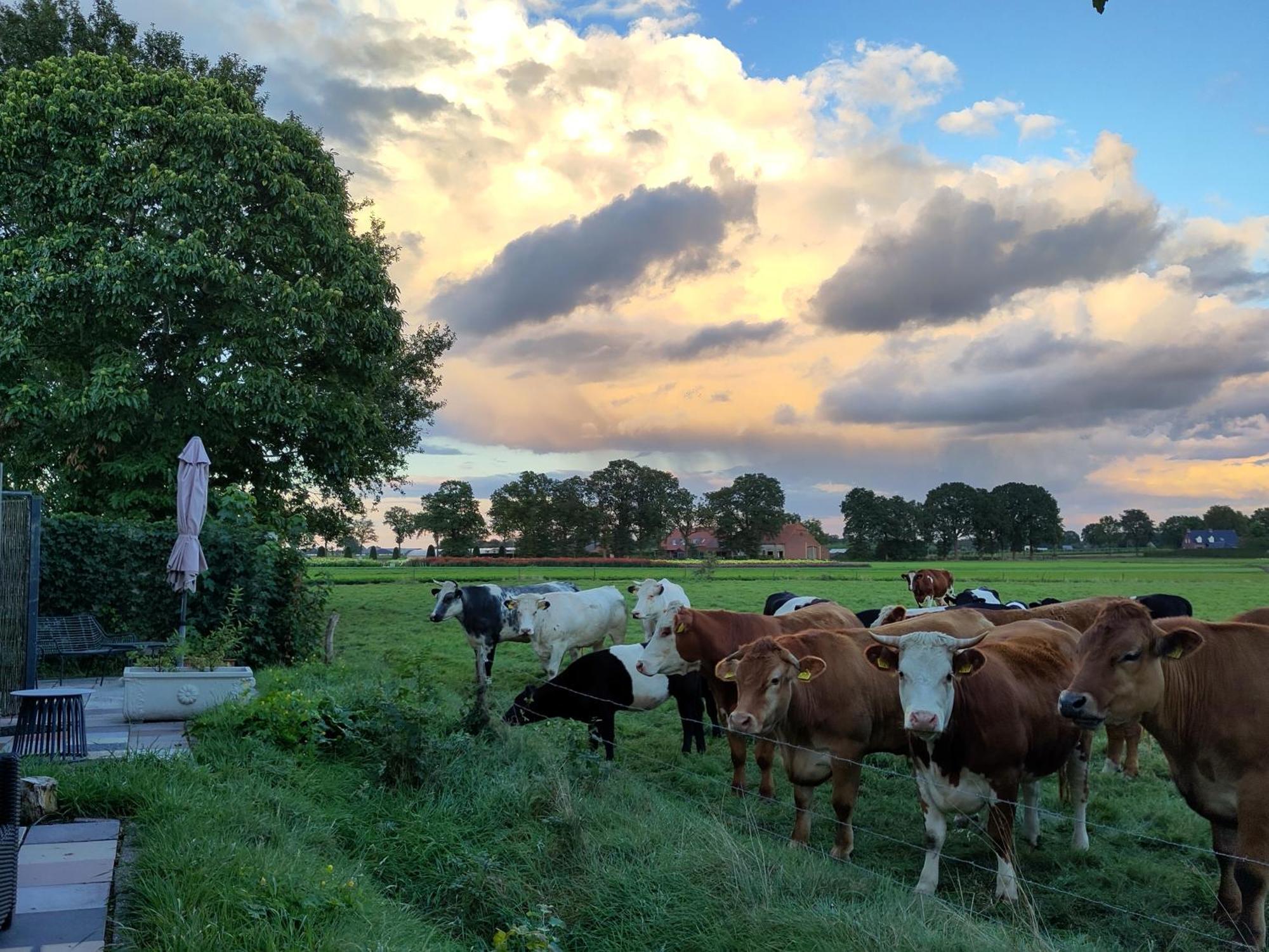 Bed and Breakfast 'T Voske Zundert Exterior foto